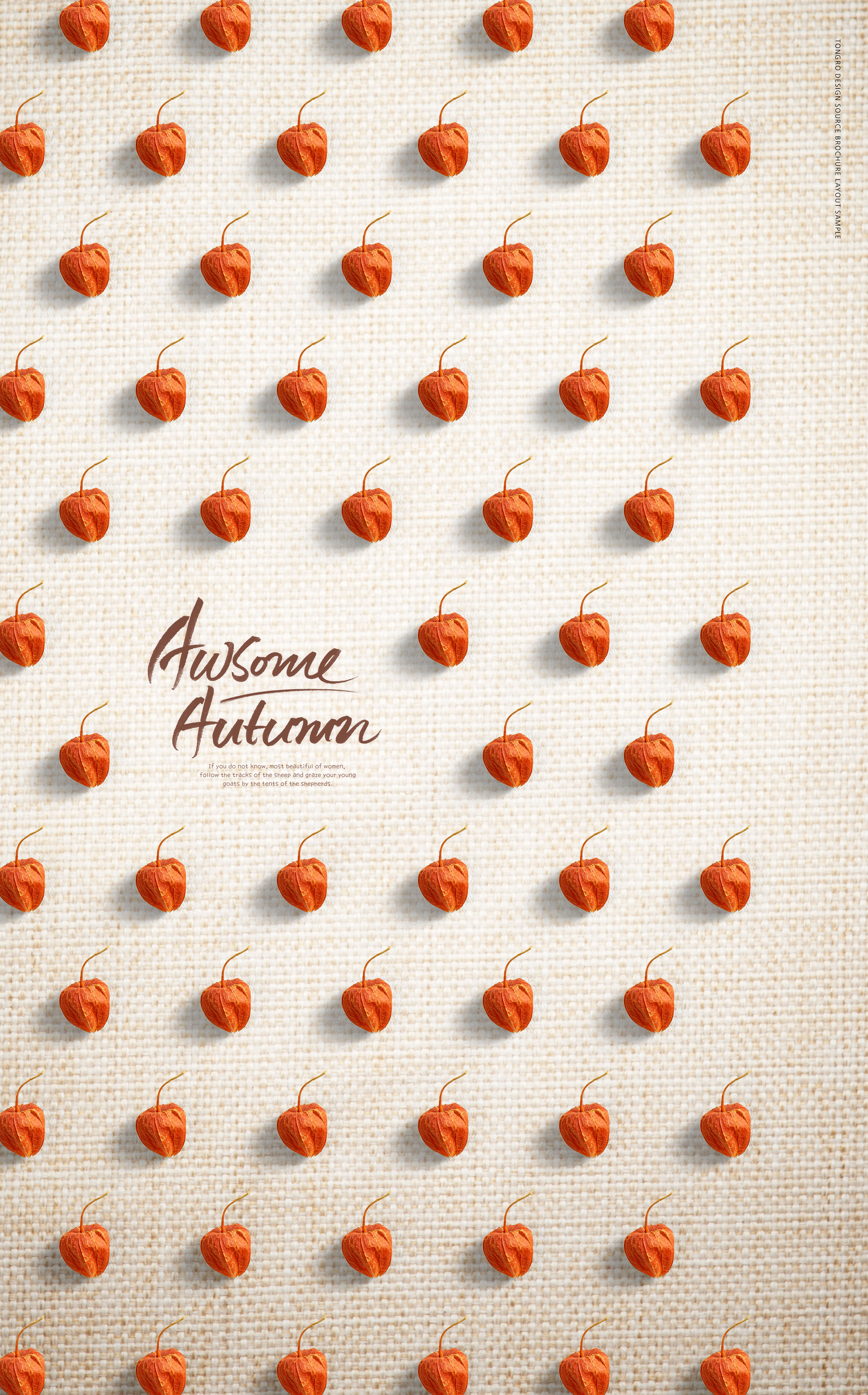 秋季元素灯笼果图案背景psd素材