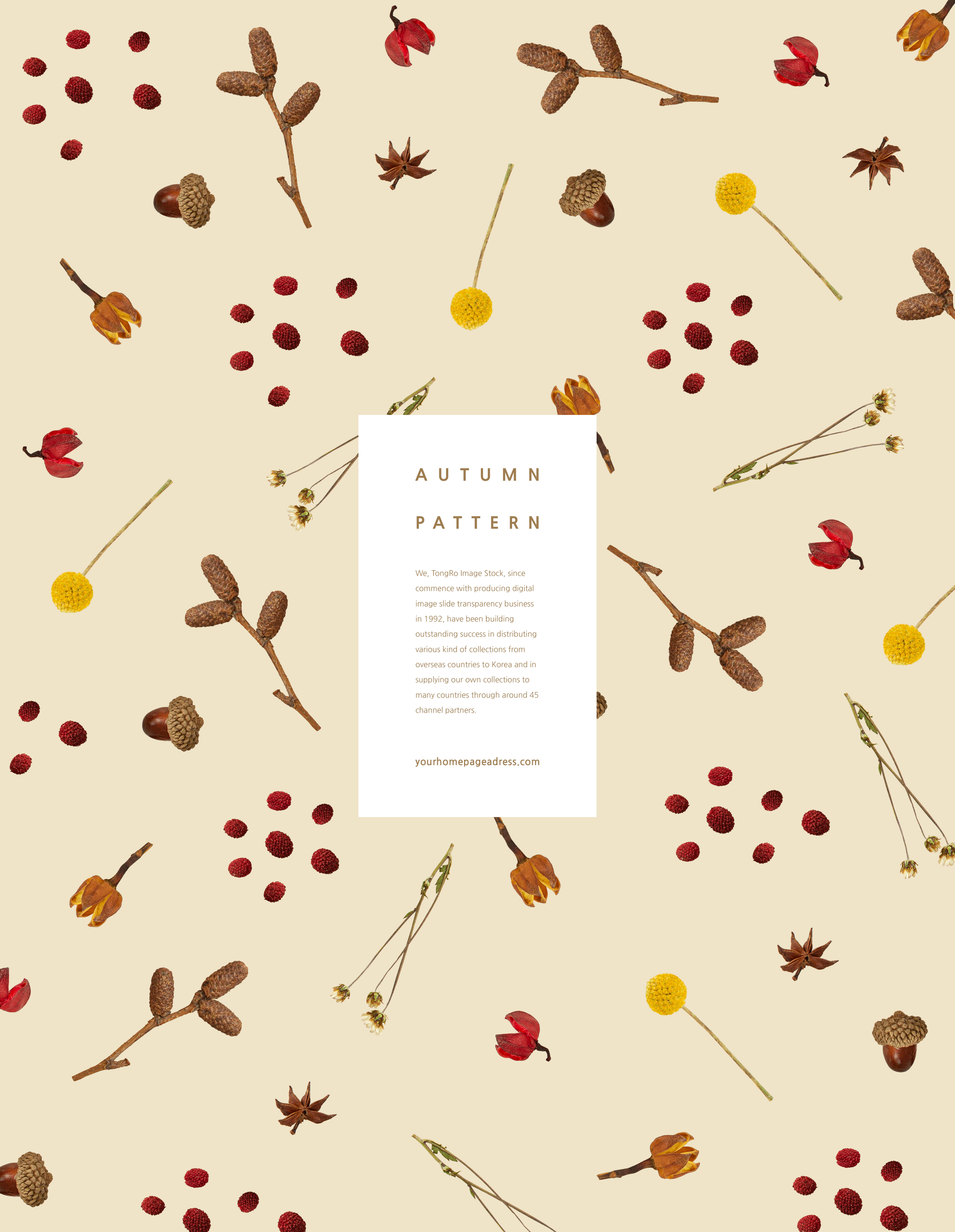 秋天主题叶子元素图案背景素材合集[PSD]