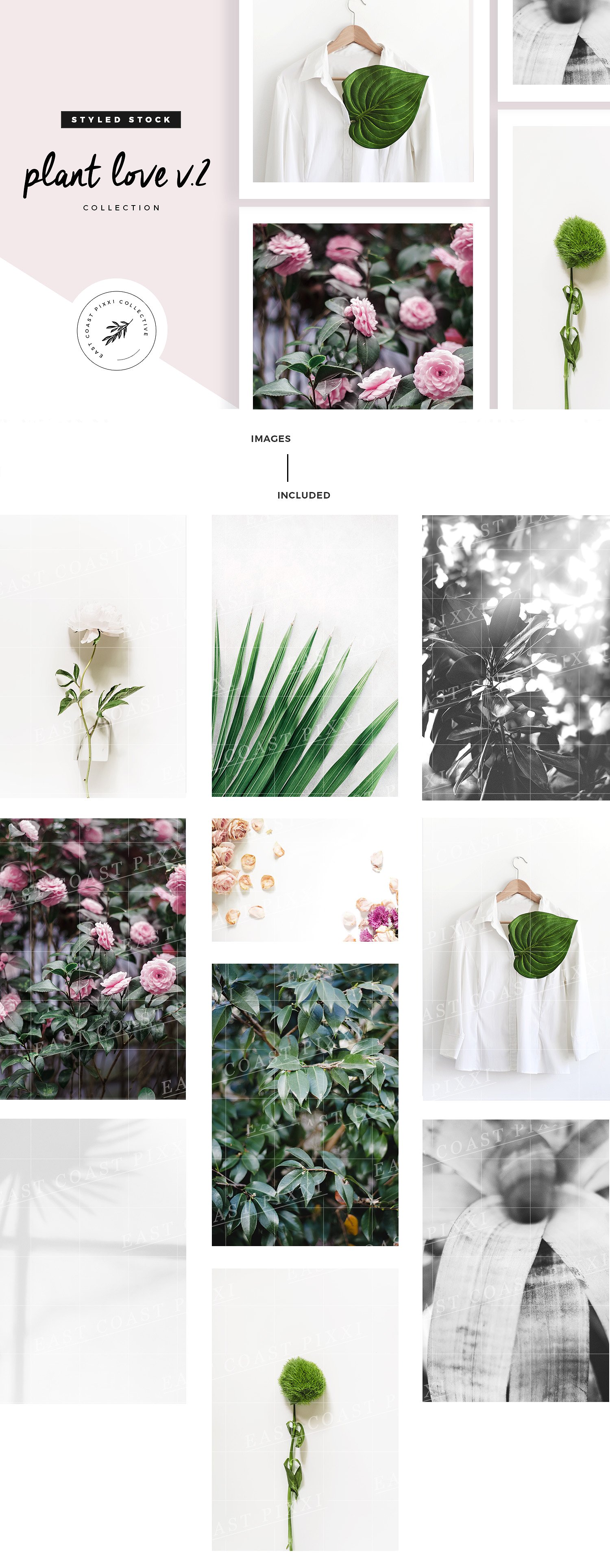 多风格植物叶子元素纹理 Plant Love V.2  Styled Stock Set