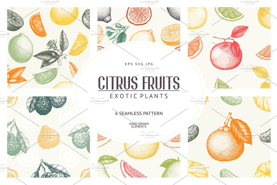 手绘素描柑橘类水果矢量无缝纹理 Vector Citrus Fruits Patterns Set