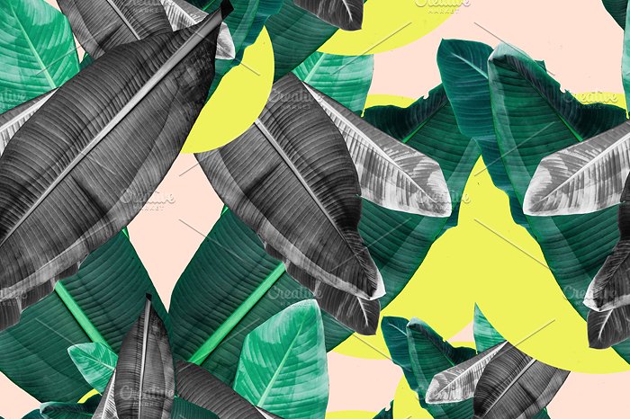 带叶的无缝花卉图案纹理 Seamless floral pattern with leaves