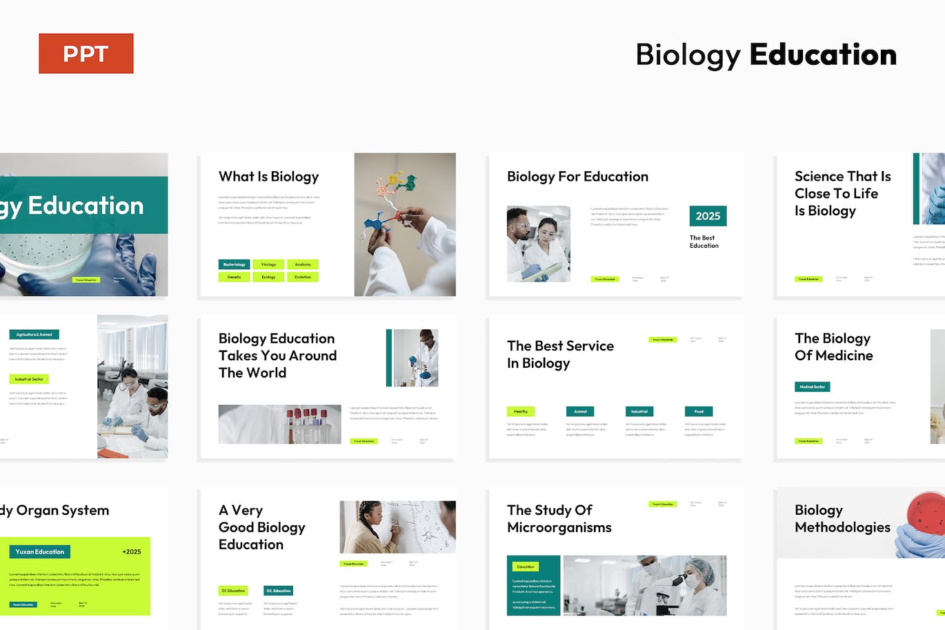 白色简单绿色生物教育演示文稿PPT模版