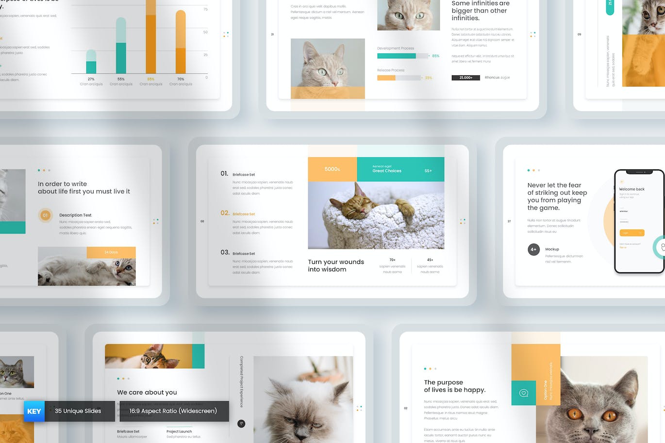 动物护理主题演讲Keynote模板 Paws – Animal Care Keynote Presentation