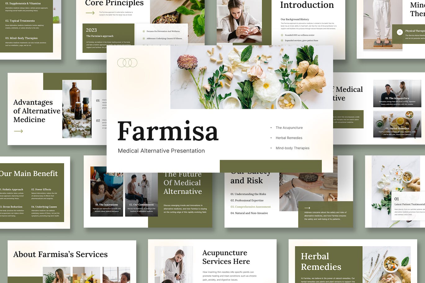 中医学治疗方法探索PPT模板下载 Medical Alternative Powerpoint