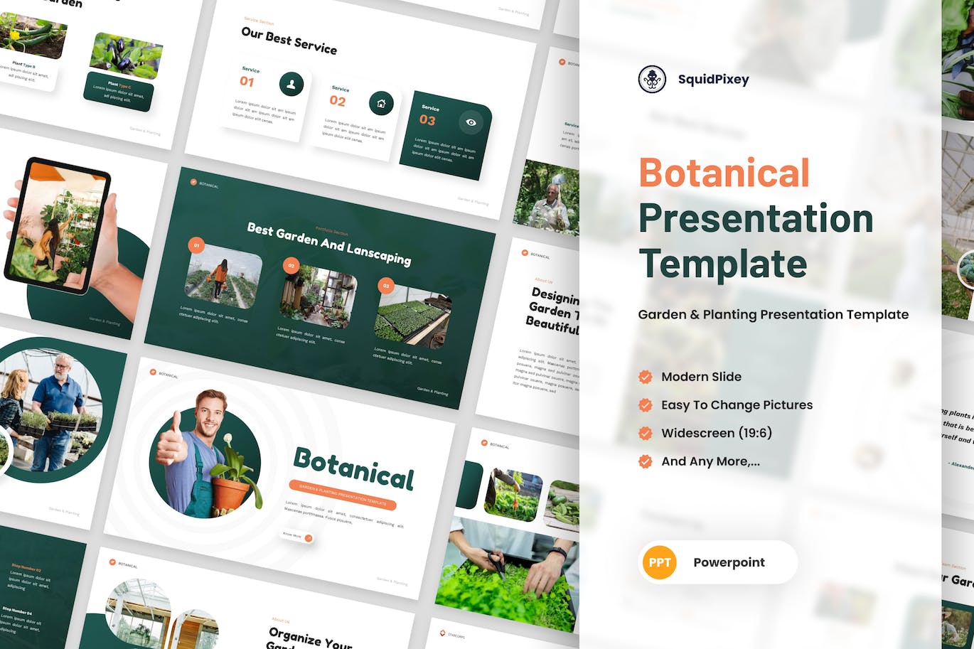 花园&种植演示文稿PPT模板 Botanical – Garden & Planting PowerPoint