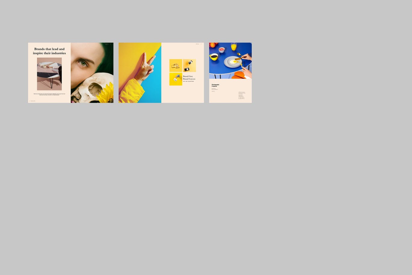 时尚高端清新简约多用途的高品质摄影提案画册宣传册杂志设计模板