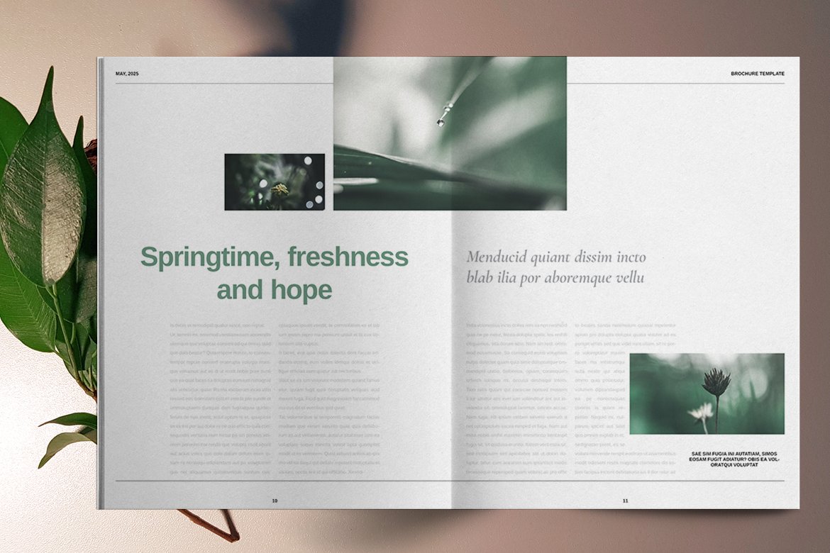 绿色自然主题宣传册设计模板