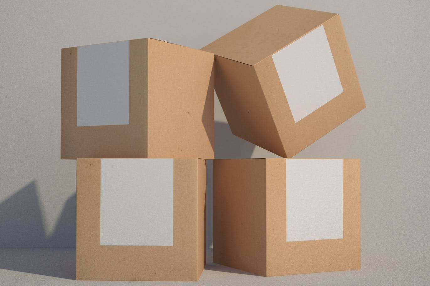 纸盒纸箱产品包装标签设计样机