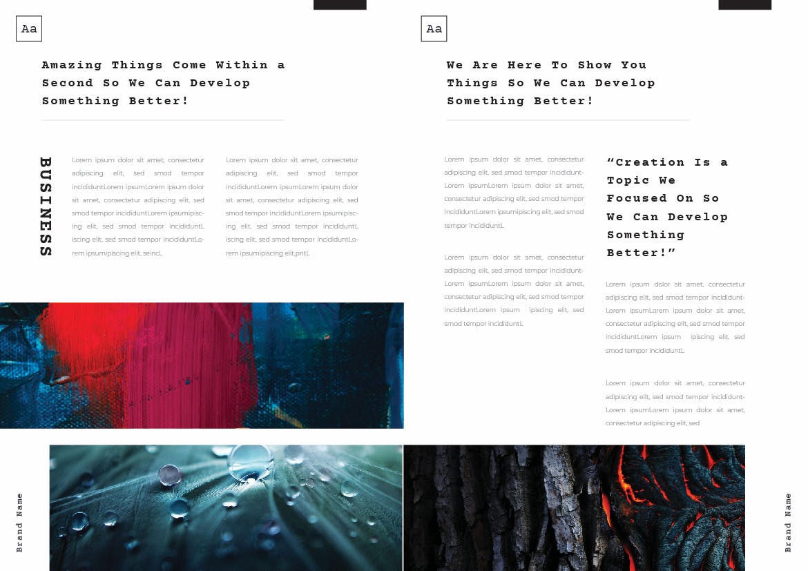 有创意的画册设计模板（EPS,AI,INDD,PSD）