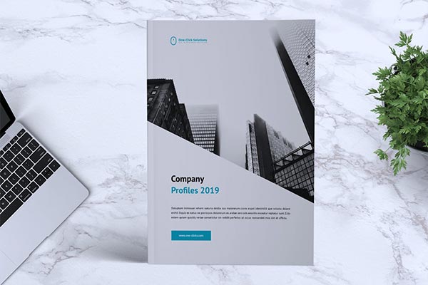 24页简约商业商务画册宣传册企业画册设计公司简介企业产品设计